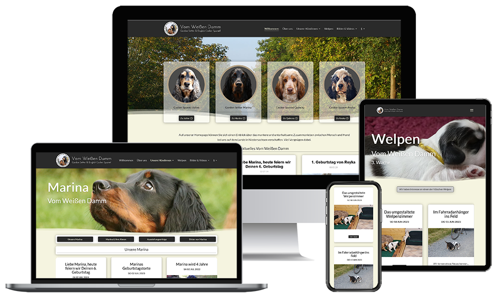 WEBENTWICKLUNG WUNSTORF – Ihre WordPress Webdesign & WooCommerce Agentur mit ❤ in der Region Hannover. Vom weißen Damm
